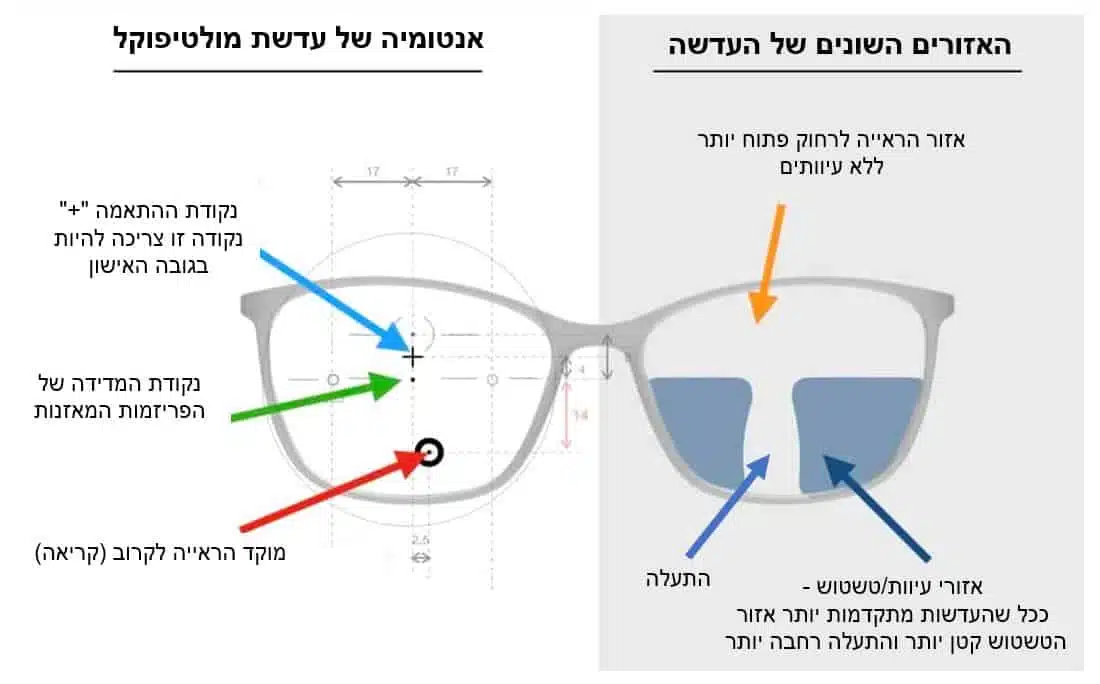 אנטומיה של עדשת מולטיפוקל