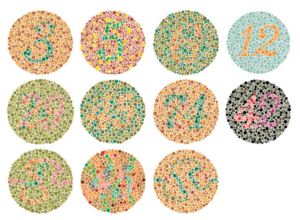 מבחן אישיהארה