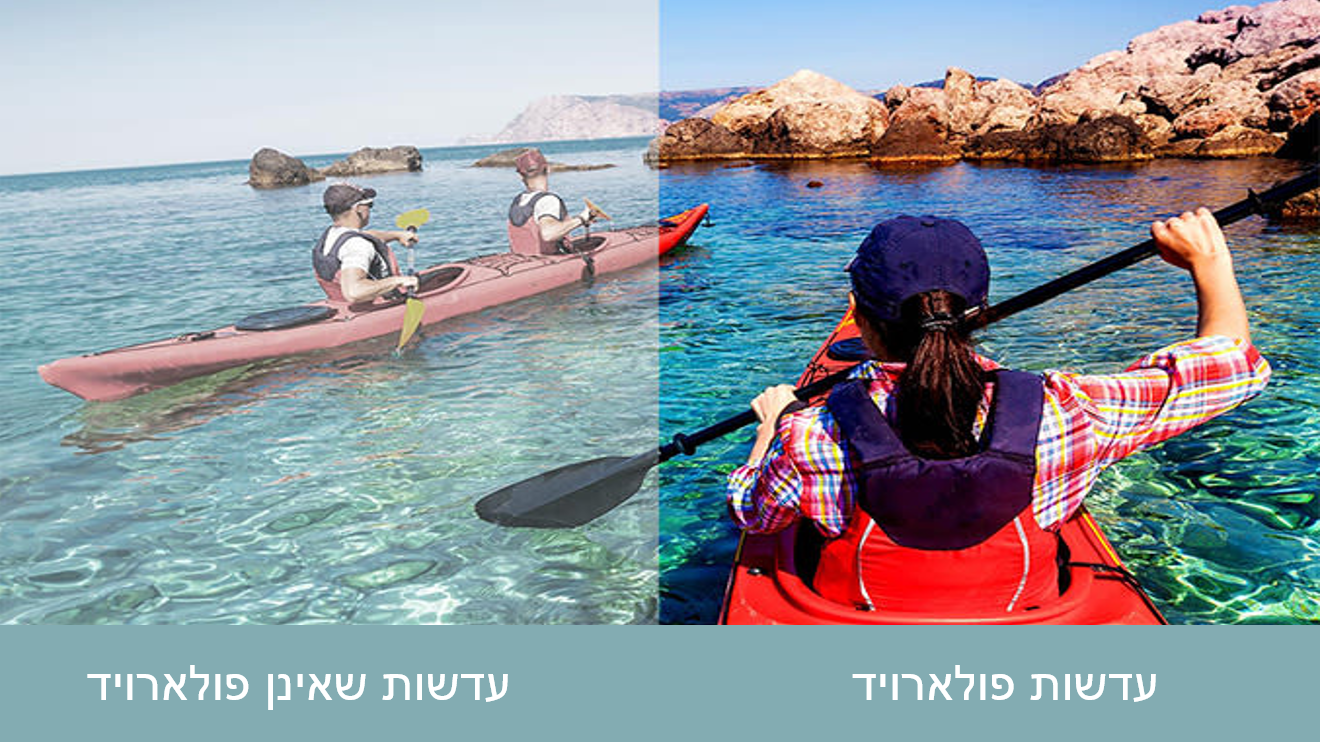פולארויד