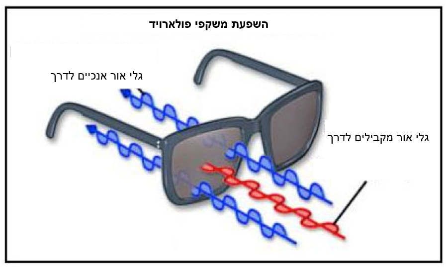 מניעת חדירה של האור האופקי